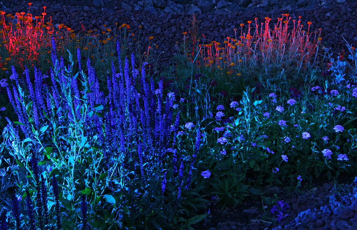 Paysage nocturne Jardins Lumière Chaumont