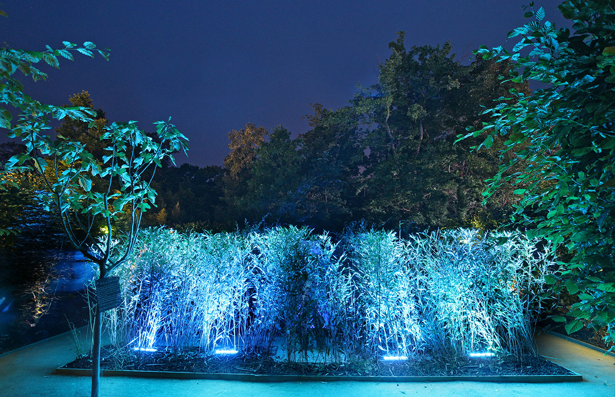 Paysage nocturne Jardins Lumière Chaumont