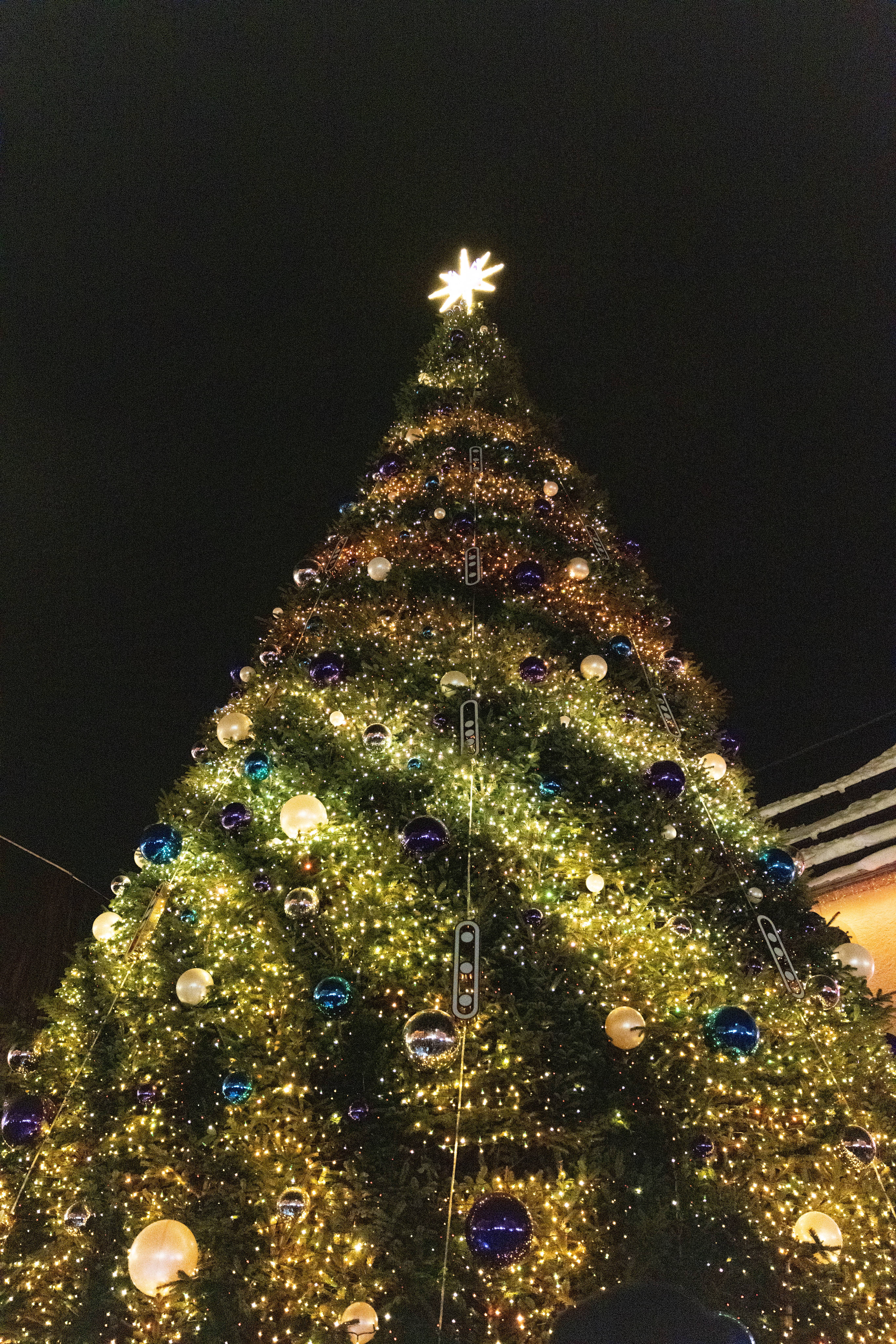 illumination-sapin-megeve-2025-03